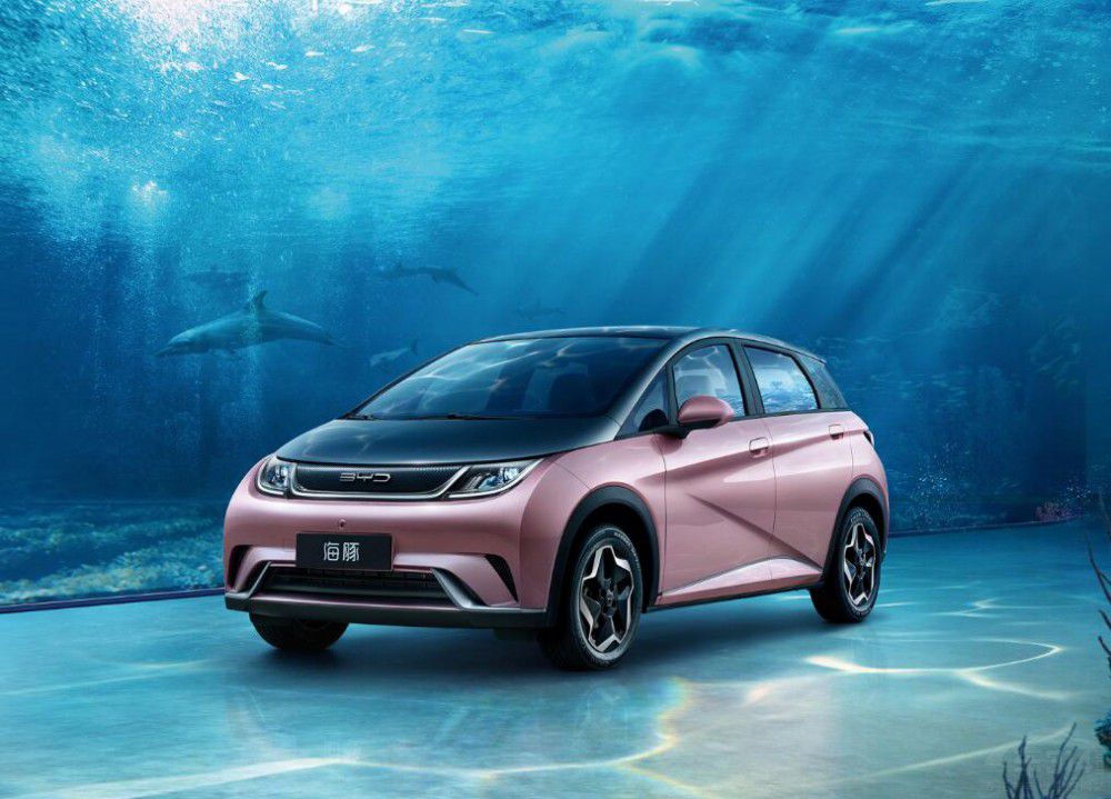 4���N������ �ȁ��Ϛ����� 20�f��������