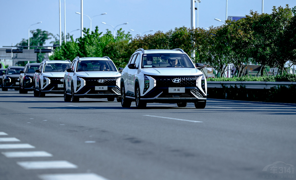 MUFASA���S���p��ͥ����·�ϵ�����ęn