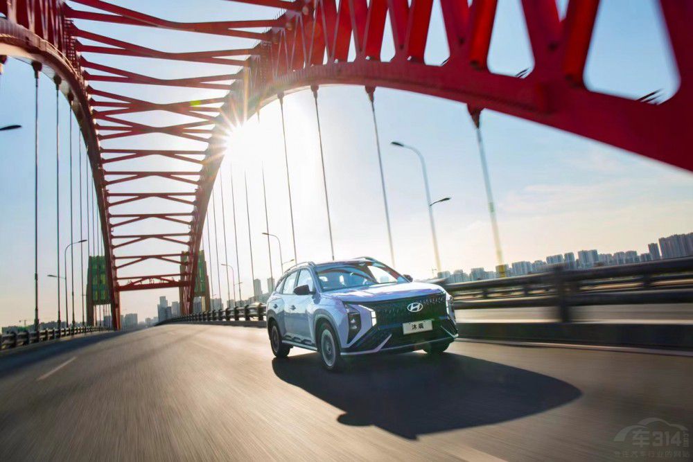 MUFASA���S���p��ͥ����·�ϵ�����ęn