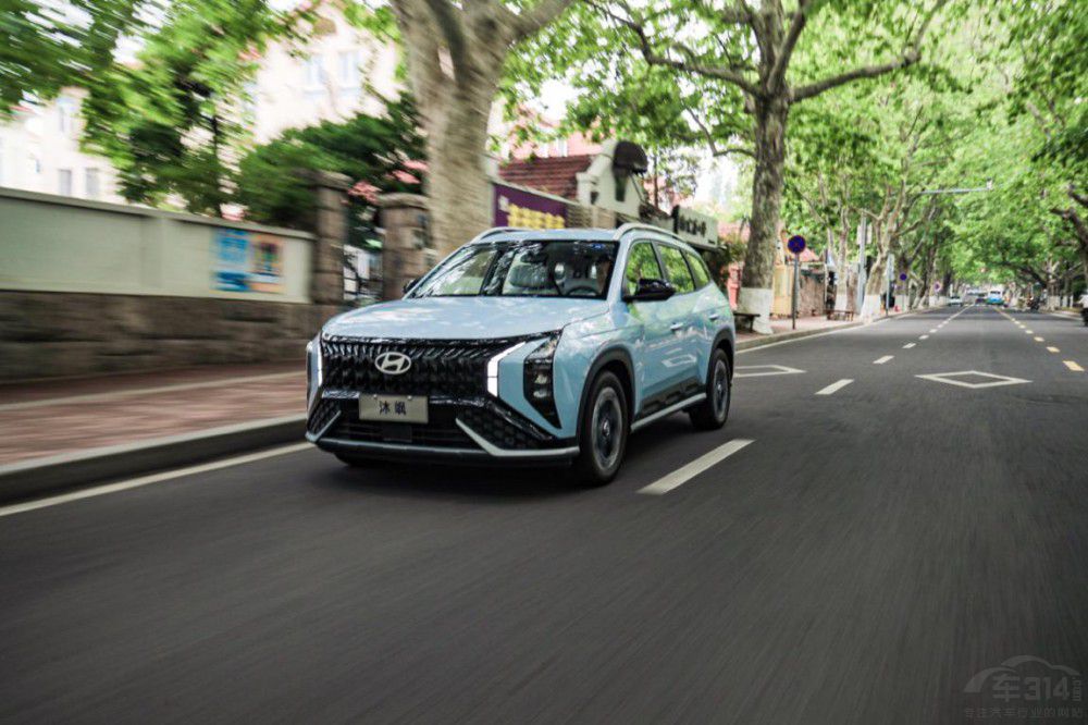 MUFASA���S���p��ͥ����·�ϵ�����ęn