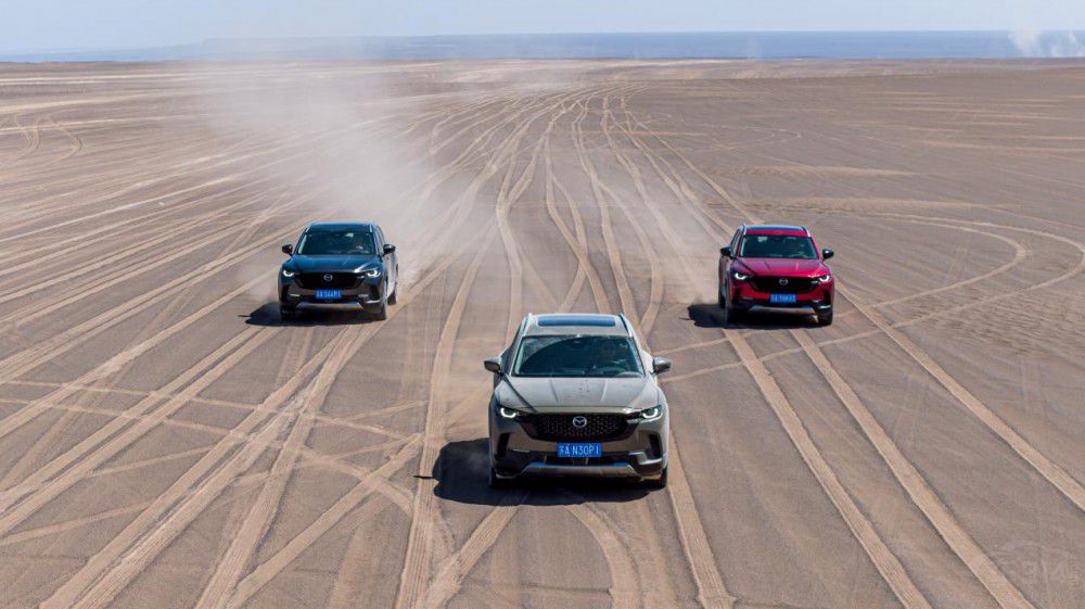 �۽��Ñ����� �L(zh��ng)���R���_(d��)9�������N���ϝq