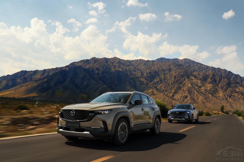 �۽��Ñ����� �L(zh��ng)���R���_(d��)9�������N���ϝq