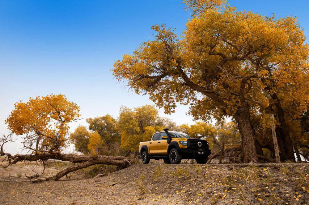 ɽ�������ܰ�28.98�fԪ��ʽ�_��ȫ���A(y��)��