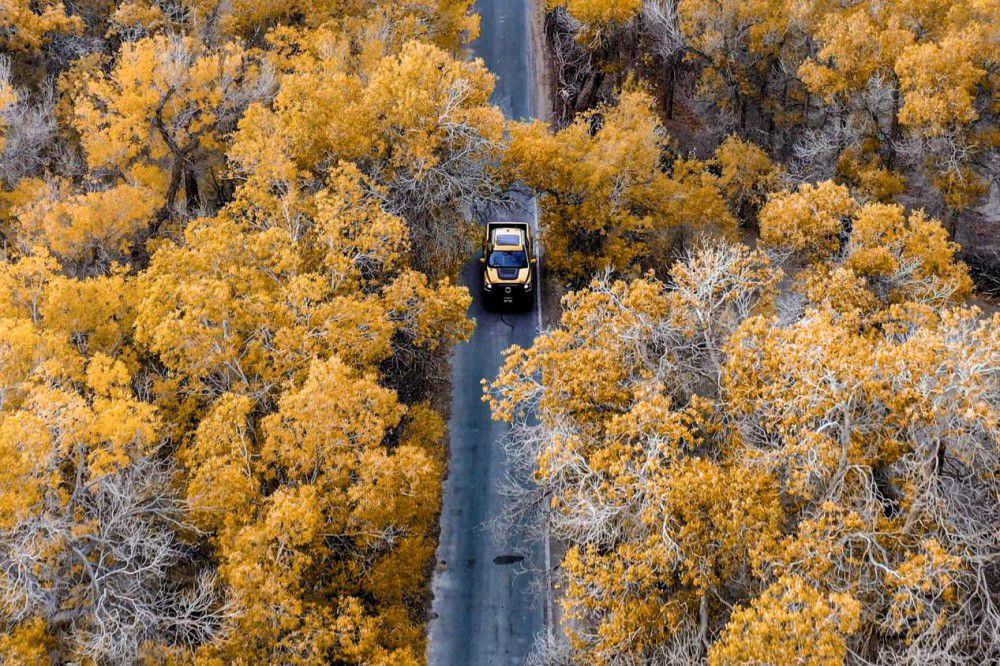 ɽ�������ܰ�28.98�fԪ��ʽ�_��ȫ���A(y��)��