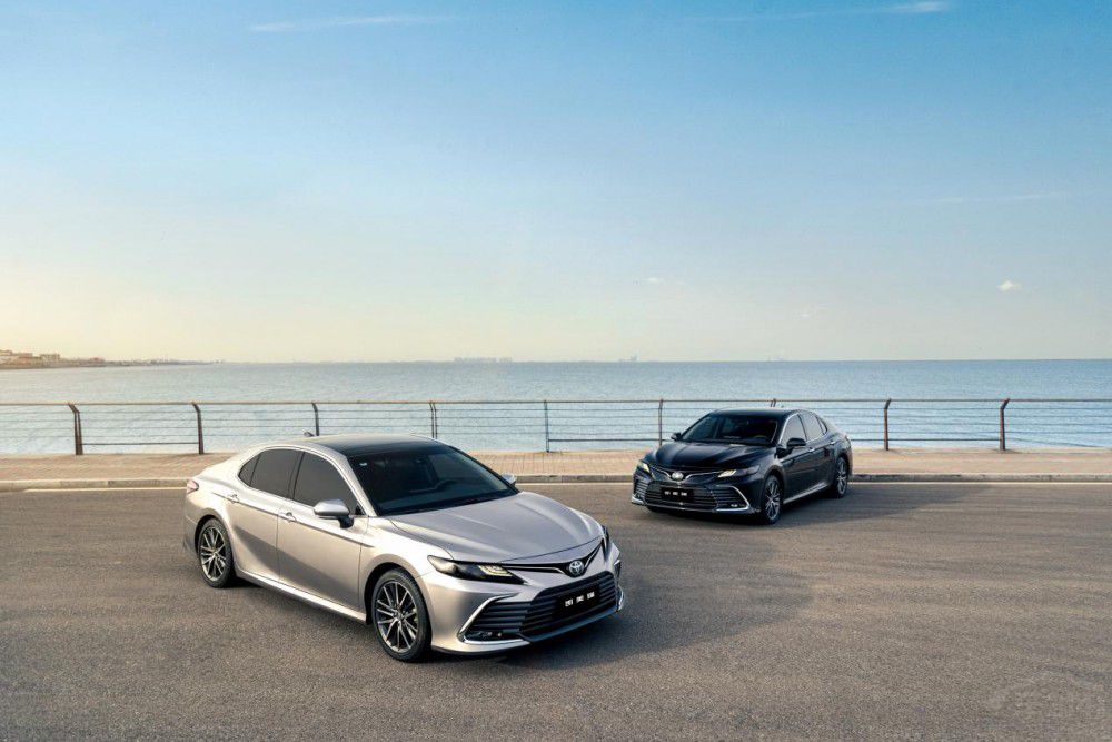 ȫ��2300�f(w��n)�N�� �S��P������������ģ�