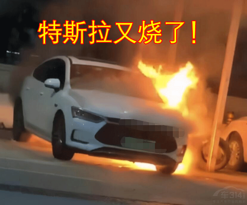 ��Щ���������ɞ����315�ġ��ذ����e����