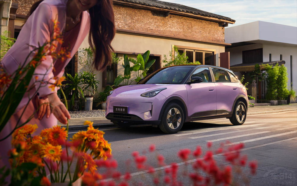 2026�����Ըȫ������ ����STAR�޶���