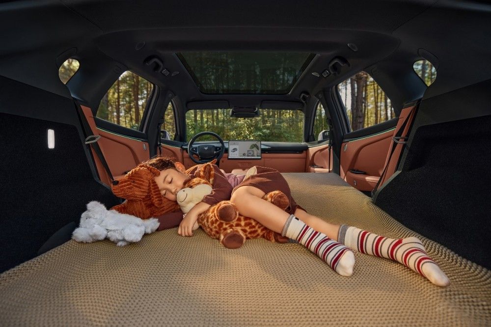 ����늵ĸ�Ч������܇ȫ�°�����T5����