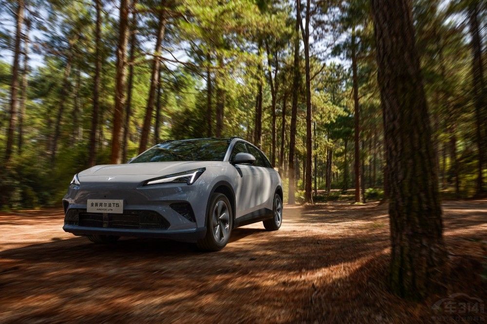 ����늵ĸ�Ч������܇ȫ�°�����T5����