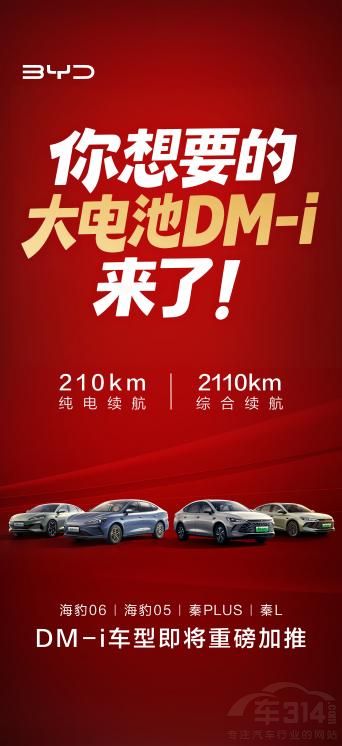 �ȁ���210���＃��m(x��)����DM-i܇�́�����