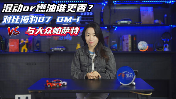 ���(d��ng)orȼ�� ��(du��)�Ⱥ���07 DM-i�c�����_��