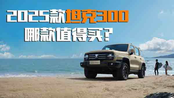 3��犎��㿴��2025��̹��300�Ŀ�ֵ���I