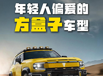 �@����ԽҰ܇�����p��ƫ�۷�����ģ����